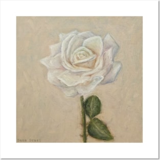 White rose Oil painting Posters and Art